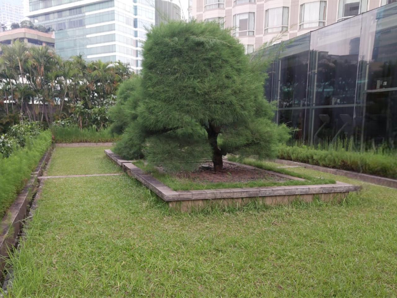 Roof garden Hotel Grand Hyatt Jakarta oleh PT Powertech